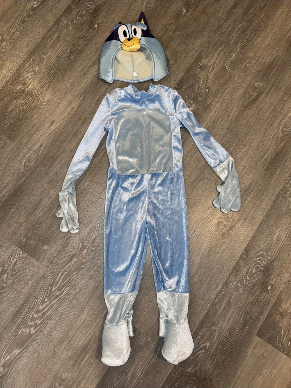 3/4T Bluey costume